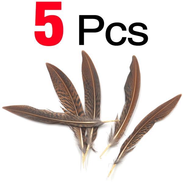 Mnft 5Pcs Natural Brown Black Color Plume Feather Fly Tying Wing Tail Material-Fly Tying Materials-Bargain Bait Box-Bargain Bait Box