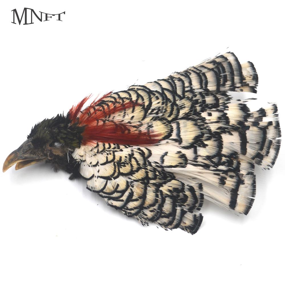 Mnft Lady Amherst Head Pheasant Salmon Fly Tying Feathers Color White&amp;Black-Fly Tying Materials-Bargain Bait Box-Bargain Bait Box