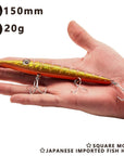 Needle Zargana 150 Popper Pencil Lures Long Cast Pencil Baits Floating Fishing-Fishing Lures-hunt house Official Store-pencil 001-150mm 35g sinking-Bargain Bait Box