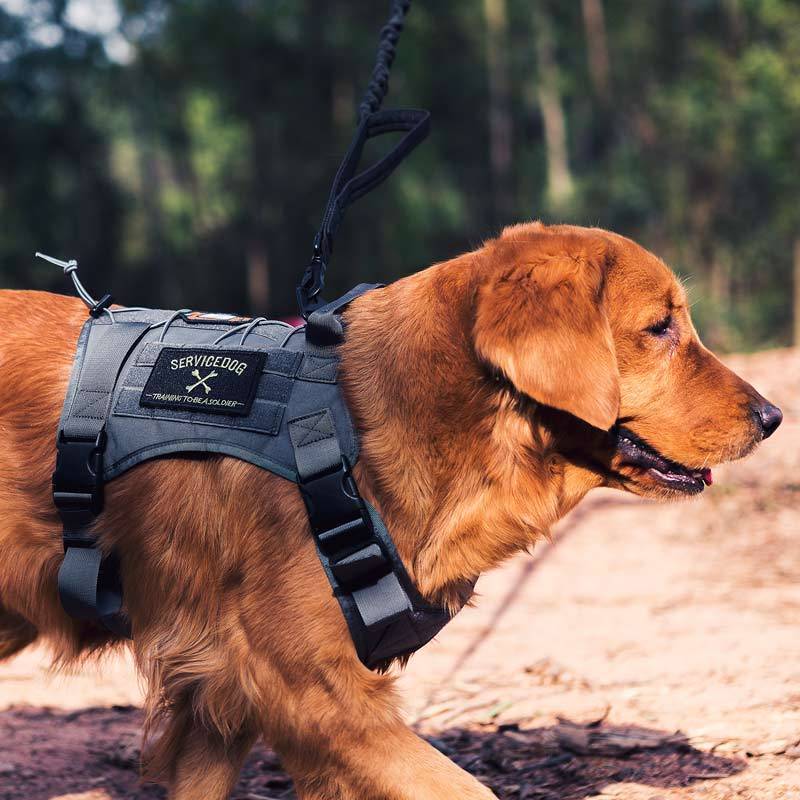 Onetigris Dog Harness Vest For Walking Hiking Hunting Tactical Military-ONETIGRIS official store-Black-M-Bargain Bait Box