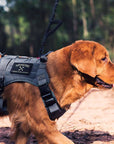 Onetigris Dog Harness Vest For Walking Hiking Hunting Tactical Military-ONETIGRIS official store-Black-M-Bargain Bait Box