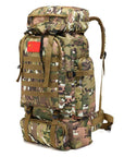 Outdoor 70L Large Capacity Mountaineering Backpack Camping Hiking Military Molle-YT Dropship Store-1C-Bargain Bait Box