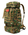Outdoor 70L Large Capacity Mountaineering Backpack Camping Hiking Military Molle-YT Dropship Store-2C-Bargain Bait Box
