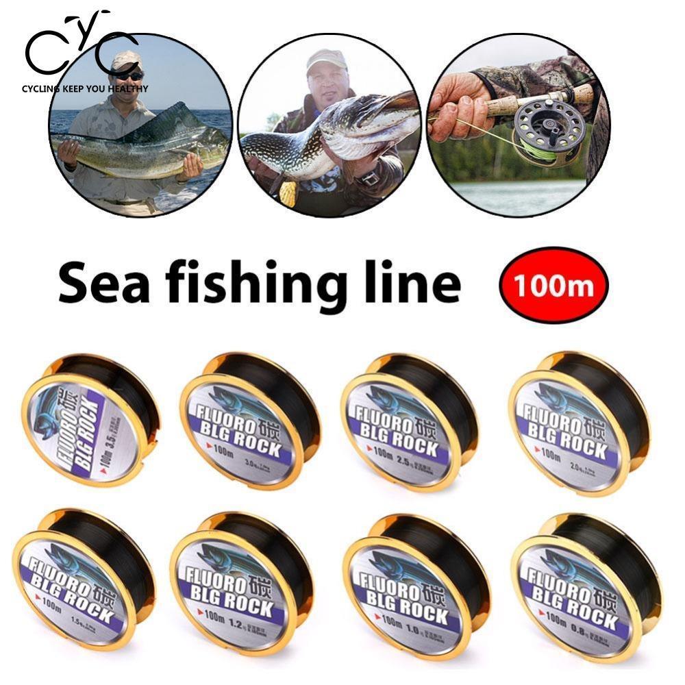 Relefree 100M Sea Fishing Line Fluorocarbon Wire Fishing Principal Line Super-Cycling~Keep you heathy Store-0.8-Bargain Bait Box