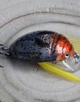 Top Grade Japan Beetle Fishing Lure Crankbait Freshwater Pesca Isca Artificial-Sarasport Store-3-Bargain Bait Box