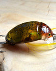 Top Grade Japan Beetle Fishing Lure Crankbait Freshwater Pesca Isca-Zejie Fishing Lure Store-Green-Bargain Bait Box
