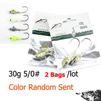 Wk Inshore Fishing Jig Head 20G 30G 40G With 3D Eyes For Soft Lure Jiggs 4-Jig Heads for Swimbaits-W&K Official Store-30g SY JIG-Bargain Bait Box