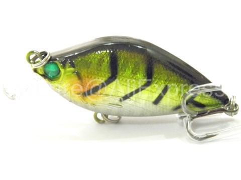 Wlure 6.4Cm 7G Crankbait Hard Bait Carp Fly Fishing Fresh Water Sea Insect-wLure Official Store-C503X40-Bargain Bait Box