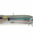 Wlure Fishing Lure Topwater Popper Crankbait Carp Fly Fresh Water Sea Insect-wLure Official Store-T683X1-Bargain Bait Box