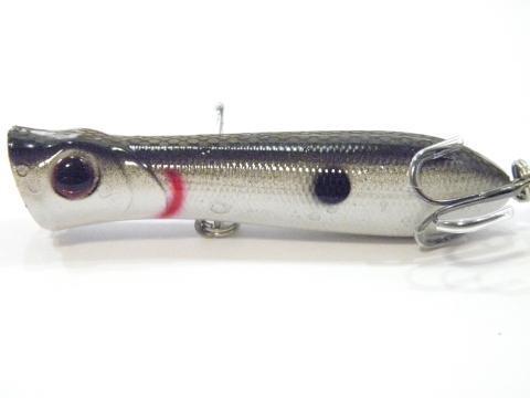 Wlure Fishing Lure Topwater Popper Crankbait Carp Fly Fresh Water Sea Insect-wLure Official Store-T683X10-Bargain Bait Box