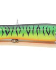 Wlure Fishing Lure Topwater Popper Crankbait Carp Fly Fresh Water Sea Insect-wLure Official Store-T683X39-Bargain Bait Box